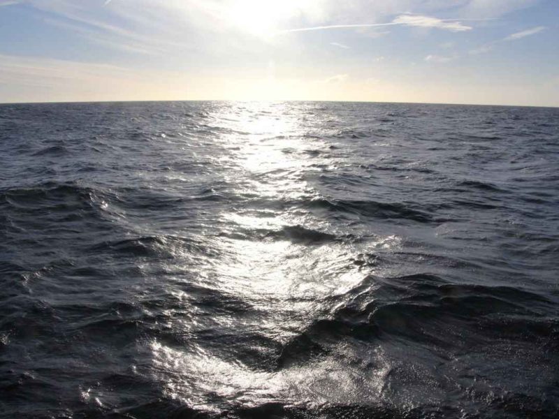Ocean Darkening