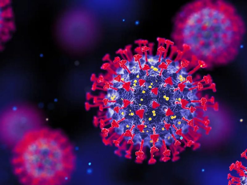understand sars-cov-2-variant-xfg