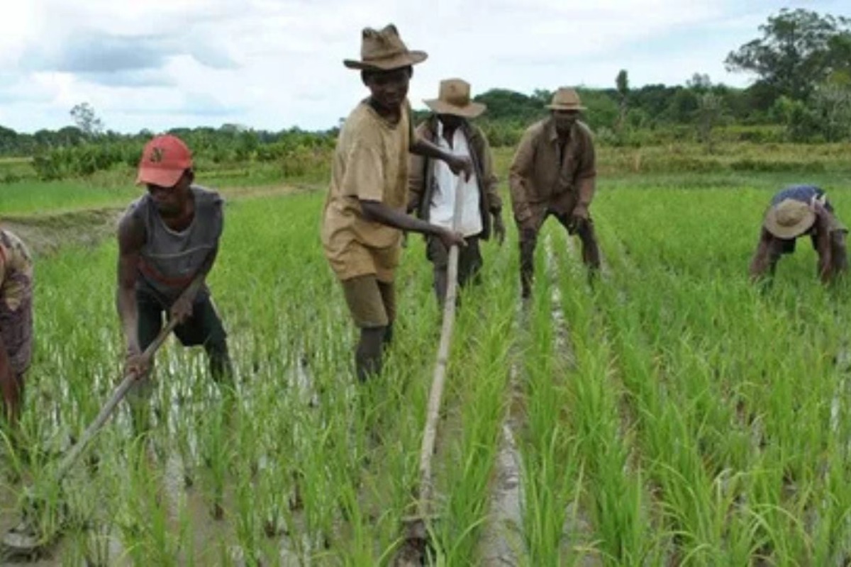 Senegal Sustainable Agricultural Growth