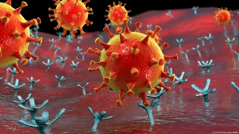 Shocking Facts About the SARS-CoV-2 Variant XFG You Can’t Ignore SARS-CoV-2 Variant XFG SARS-CoV-2 Variant XFG