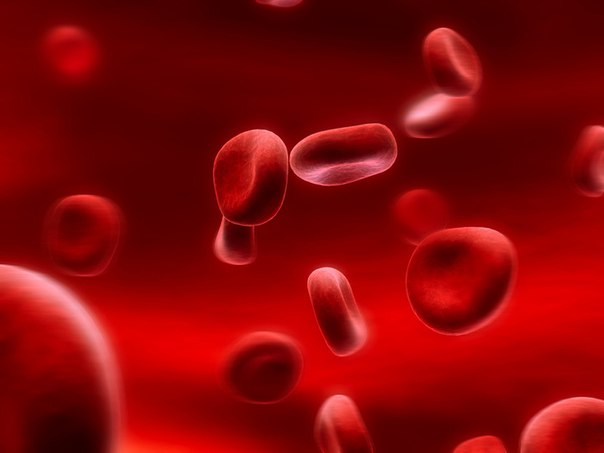 Global Guidelines for Sickle Cell Disease Care