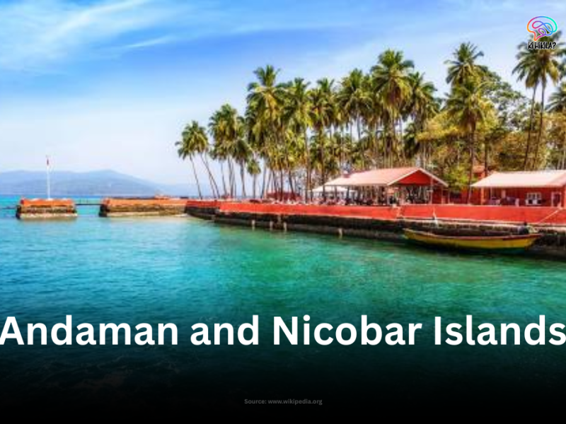 A tropical shoreline on the Andaman and Nicobar Islands, featuring clear turquoise water, a palm-tree-lined jetty, and red-roofed beachfront buildings under a blue sky.