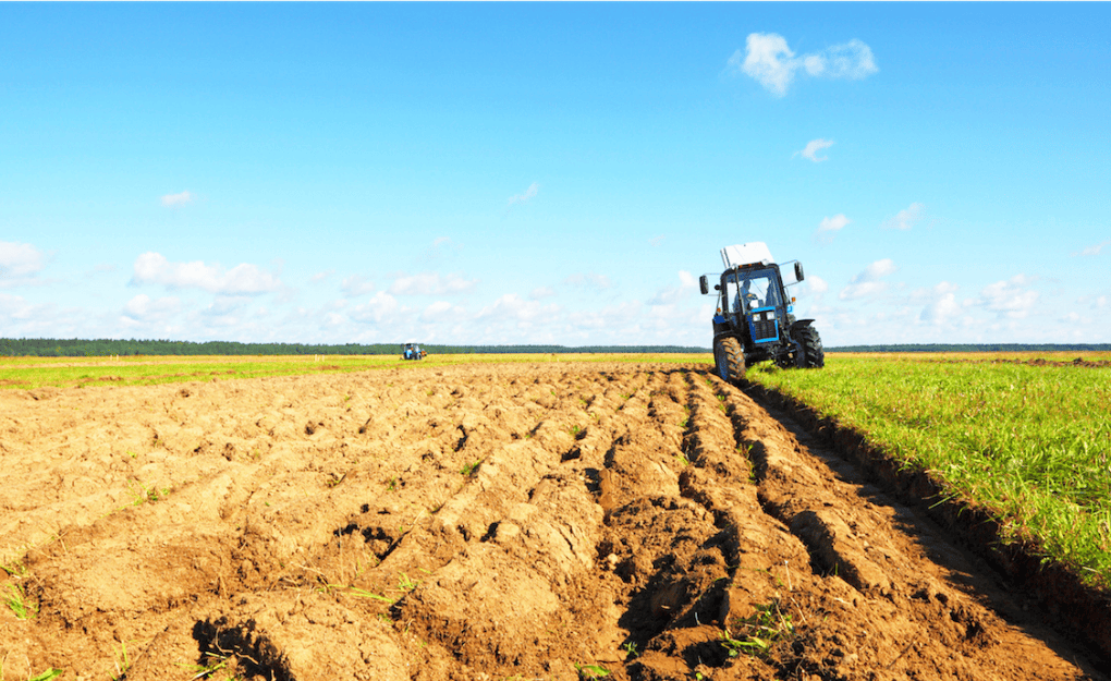 Climate Change Crop Yields