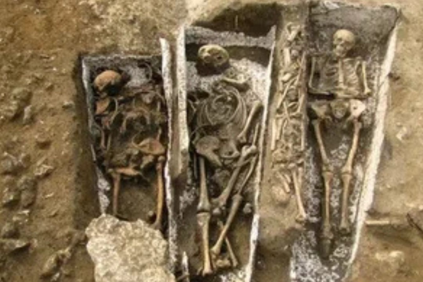 Ancient Egyptian Genome Study