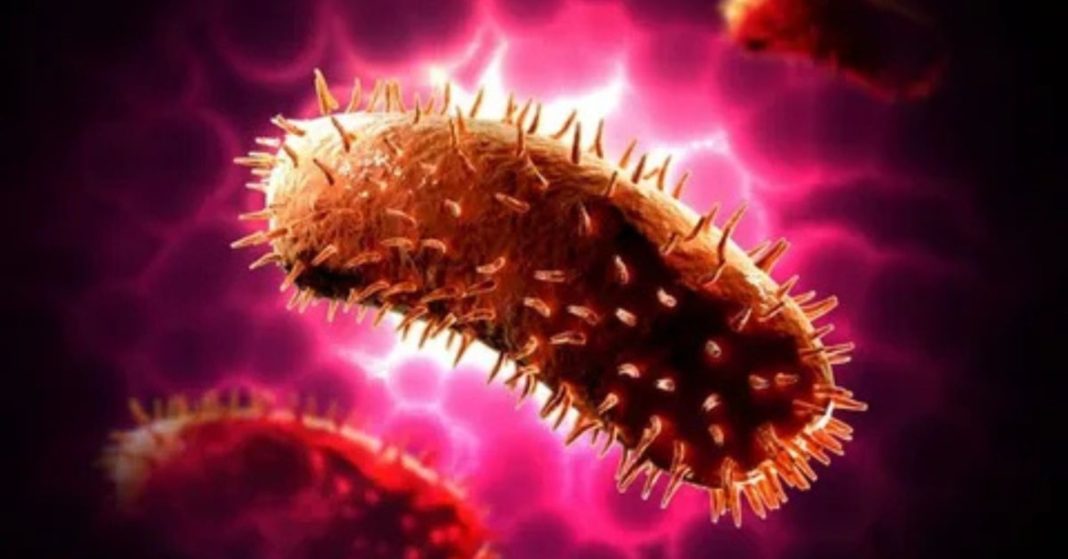 How Rabies Kills