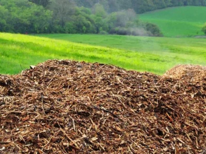 Updated Guidelines for Biomass Program