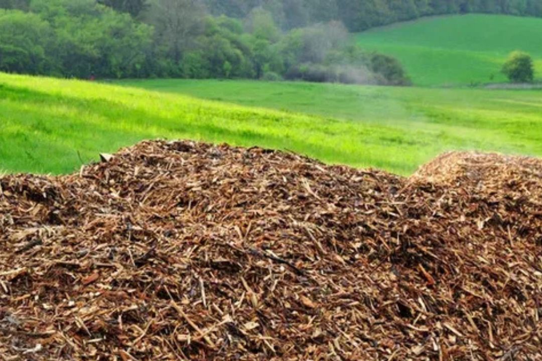 Updated Guidelines for Biomass Program