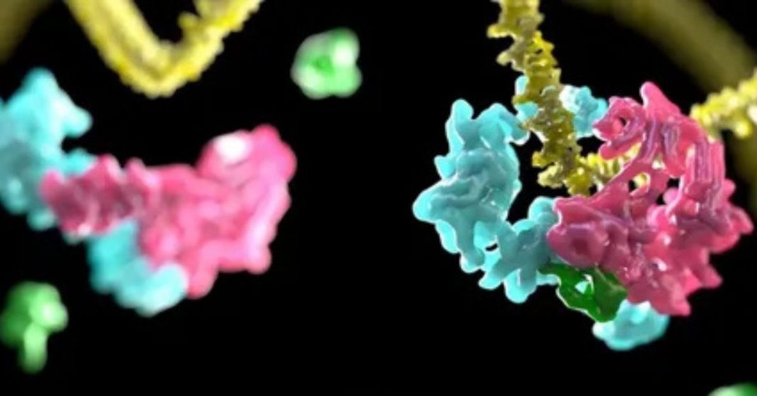 Molecular Imaging Technique