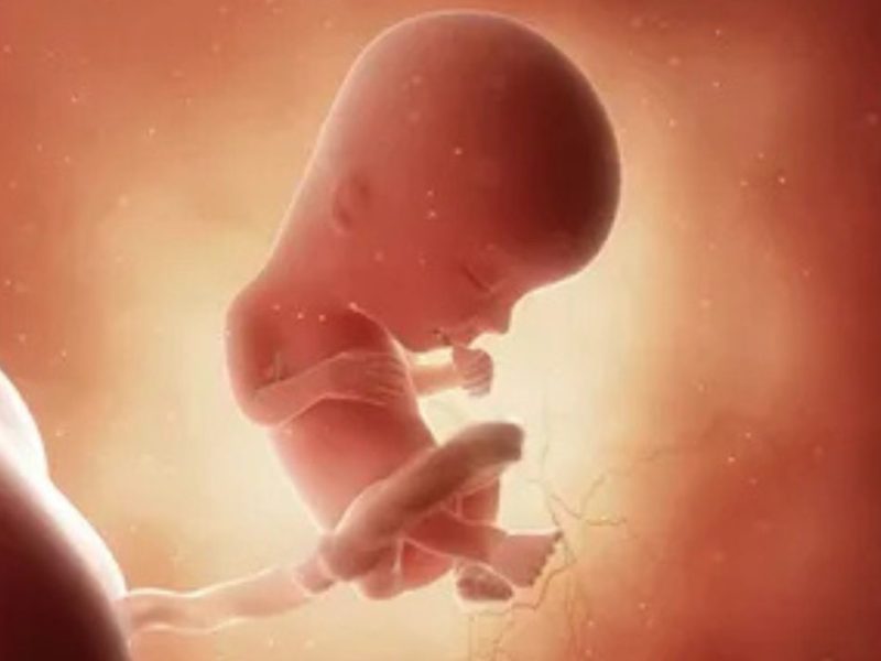 Birth Registration Rates in Bihar and India