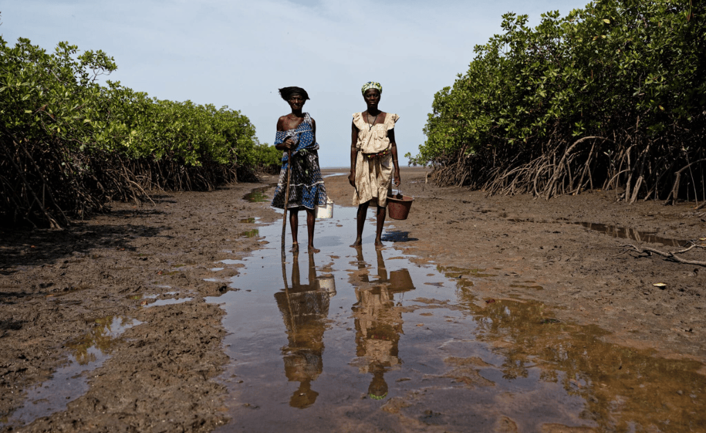 Africa Wetlands Degradation