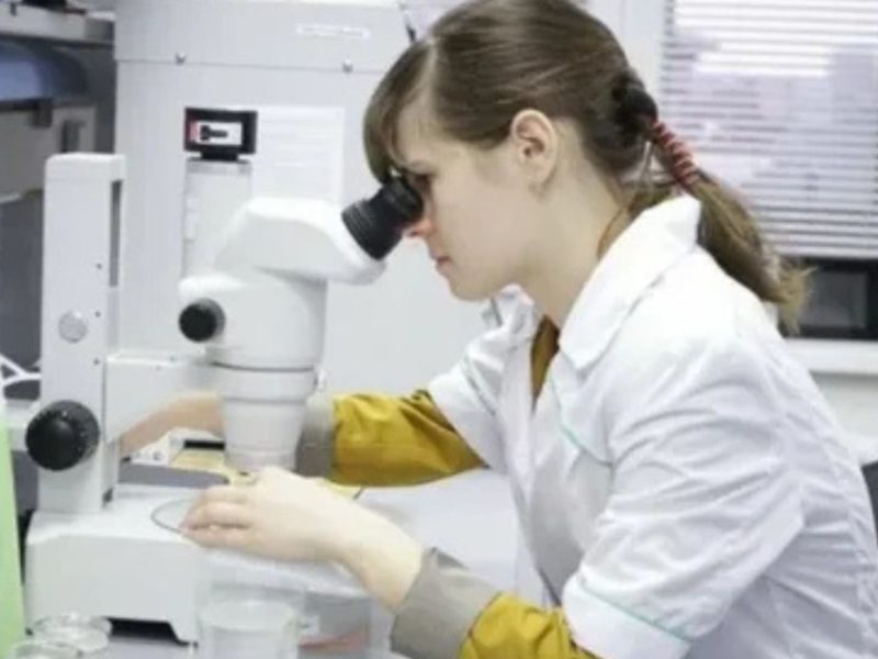 India Innovation Research Scheme