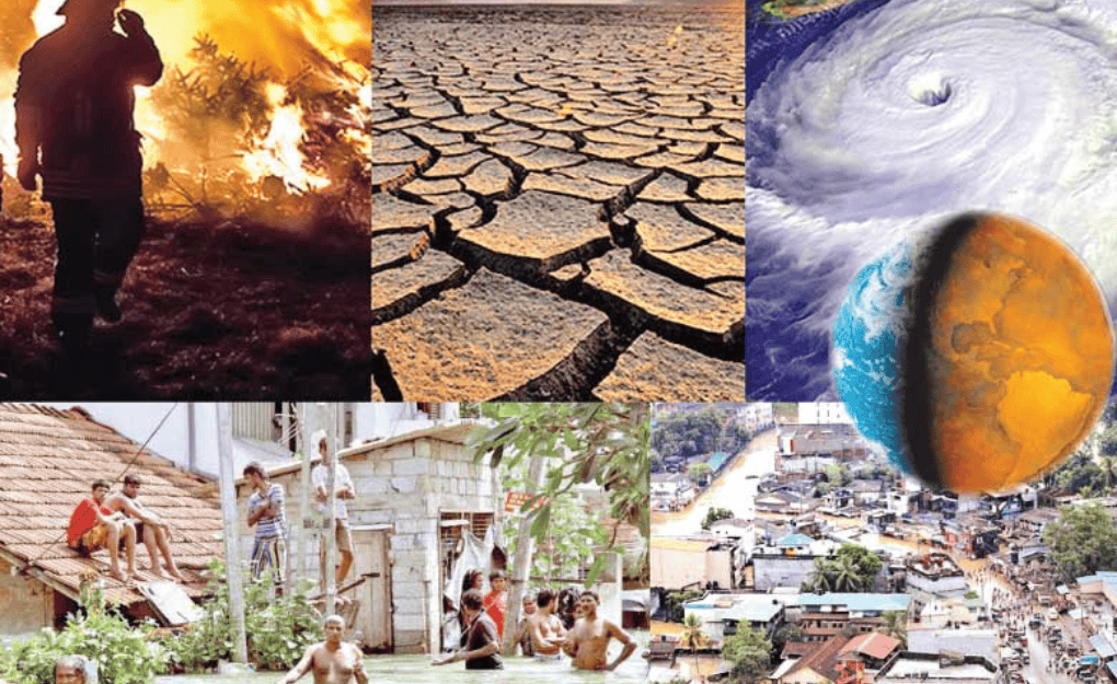 Climate Education Impact