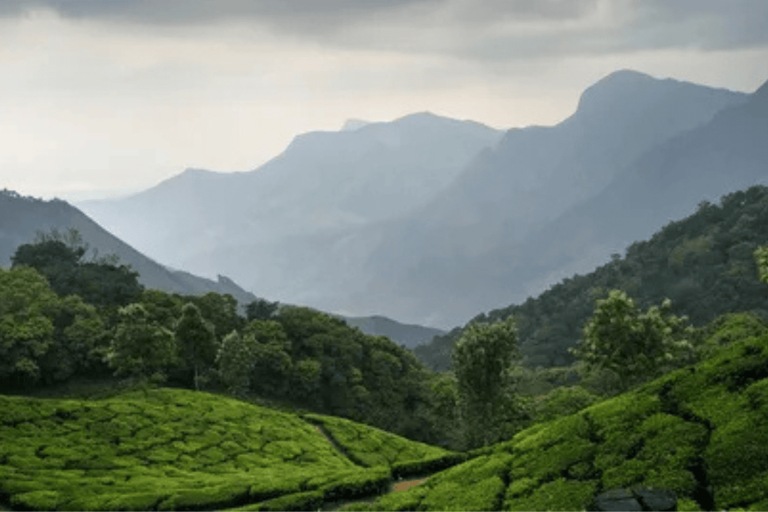 Western Ghats Eco-Sensitive Zones