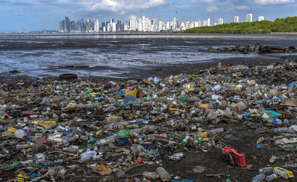 Global Plastic Ban