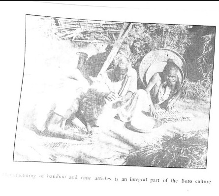 The Bodo-Kachari Tribe