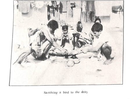 The Bodo-Kachari Tribe