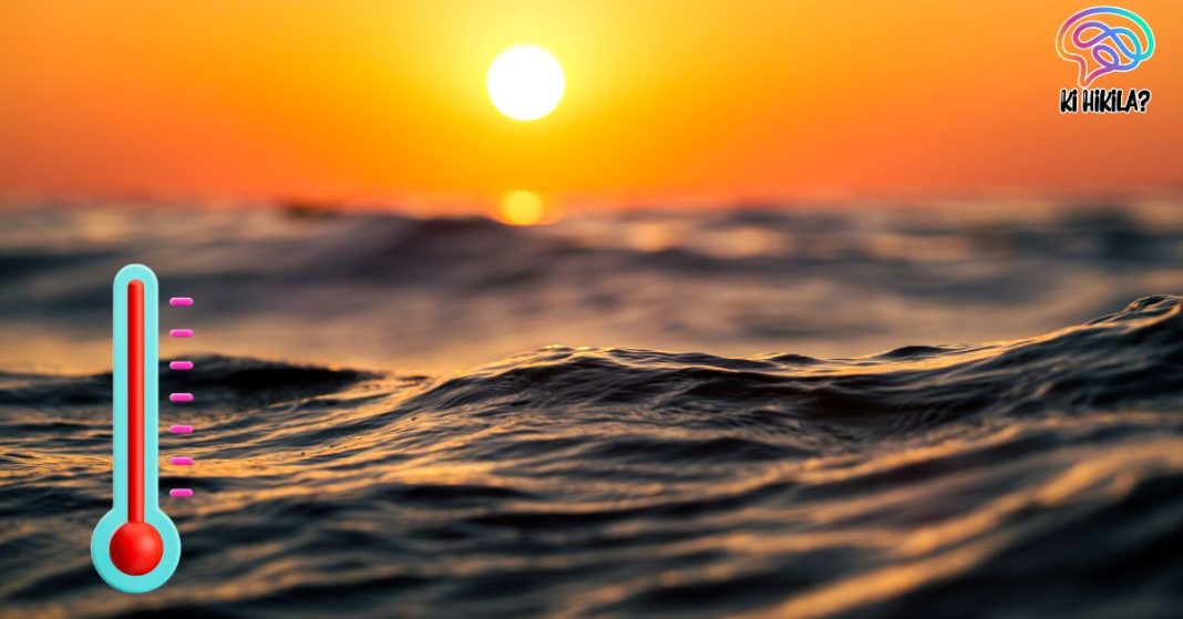 2023 Marine Heat Waves