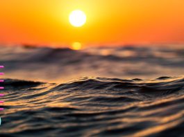 2023 Marine Heat Waves