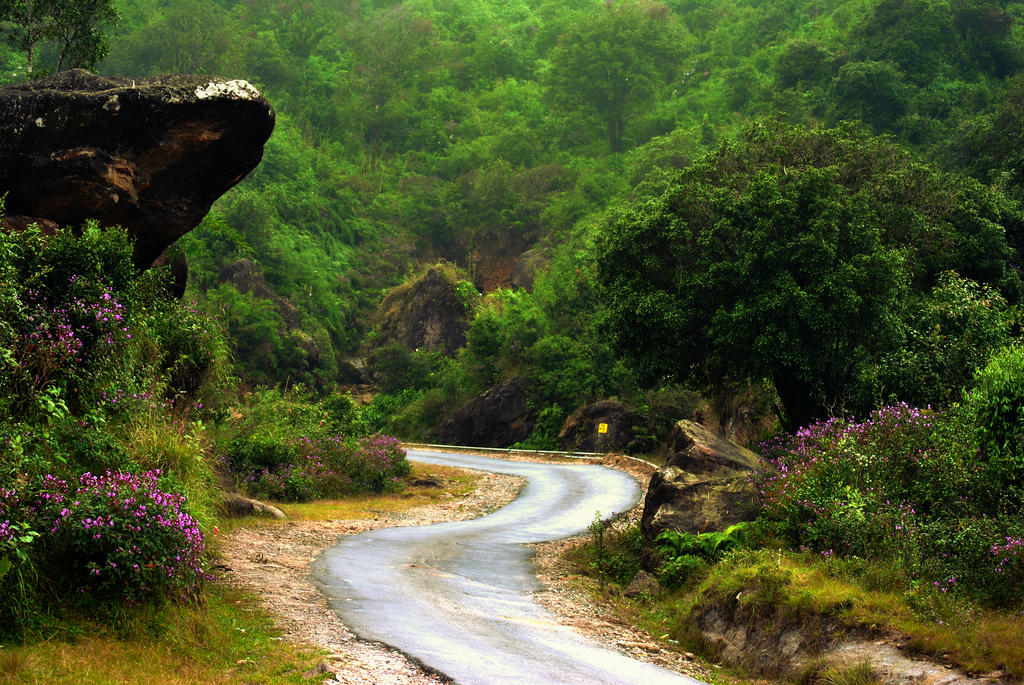 Travel to Northeast India