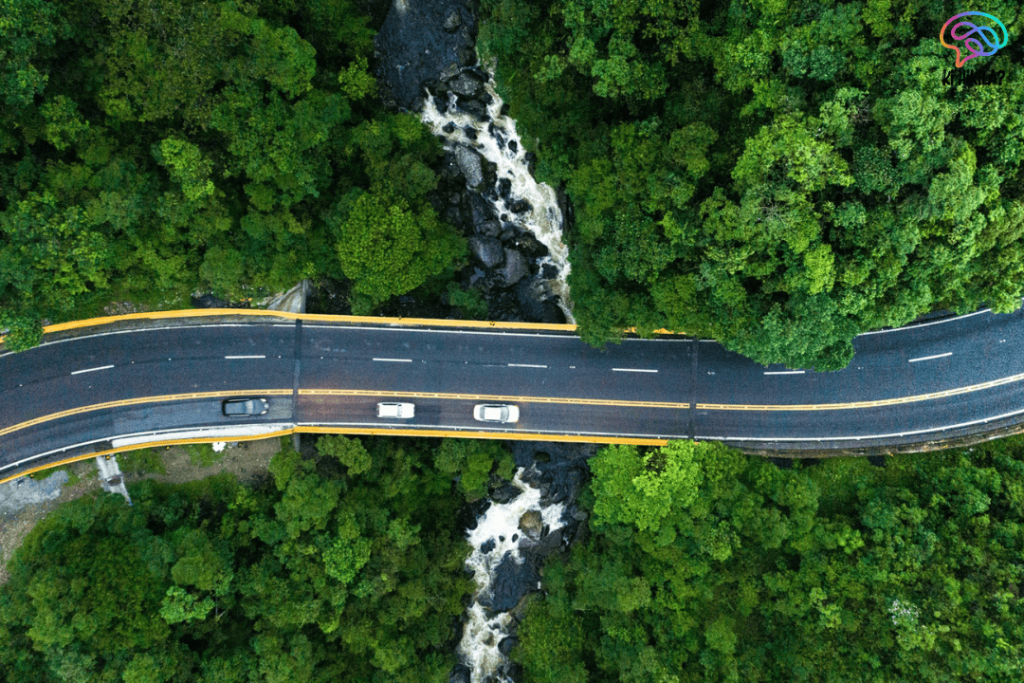 India Pension Funds Green Economy