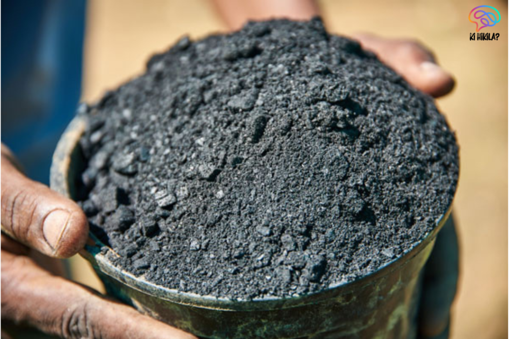 Biochar Carbon Market India