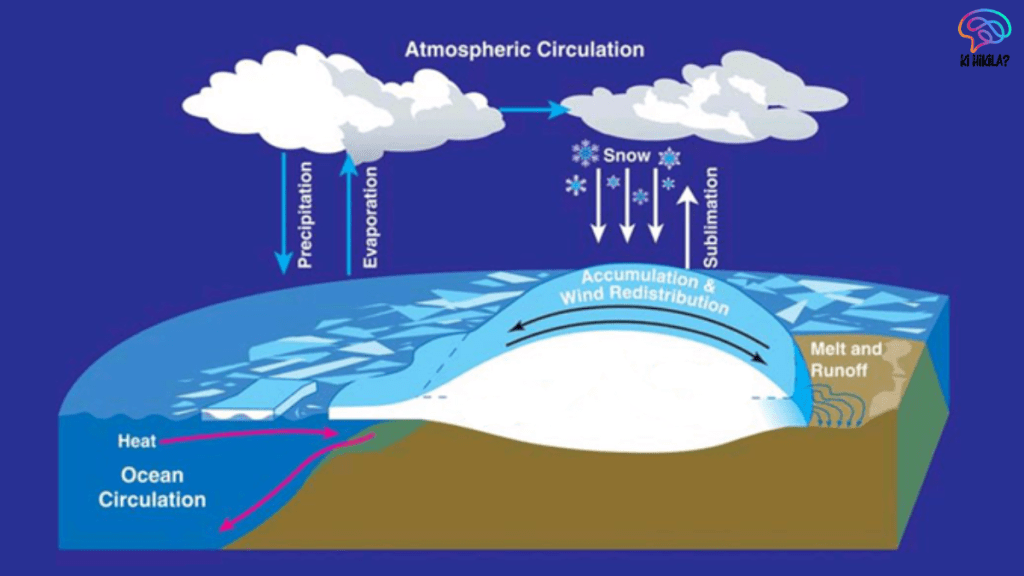 Albedo's Impact on Climate Science and Global Warming Albedo's Impact on Climate Science Albedo's Impact on Climate Science