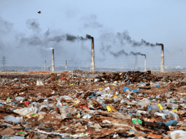Contaminated Sites Rules