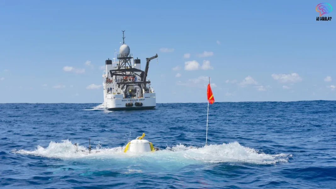 India Deep Ocean Dives