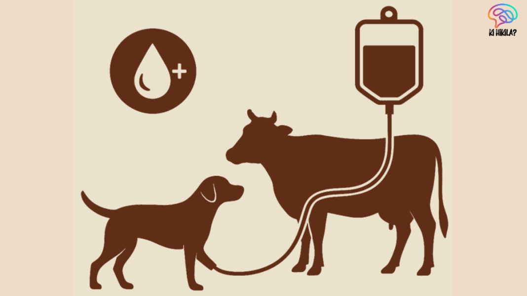 Veterinary Blood Transfusion Guidelines
