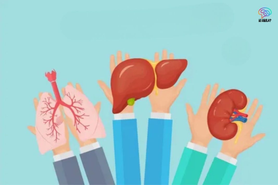World Organ Donation Day