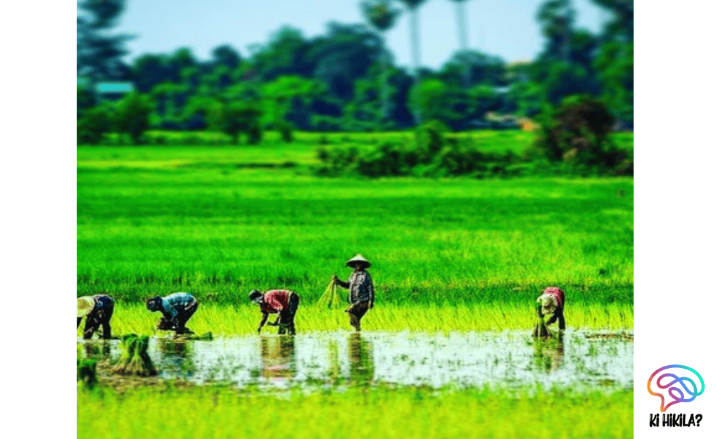 India Wetlands Conservation