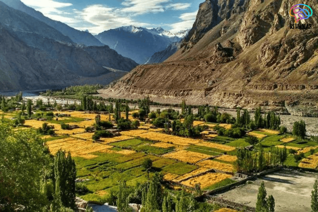 Ladakh Botanical Garden