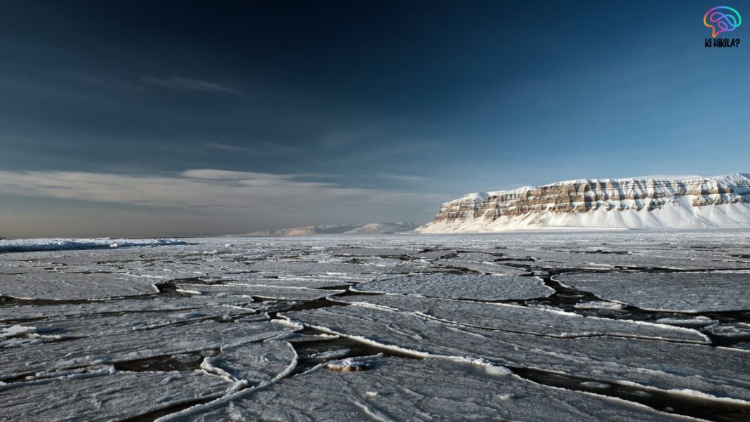 Arctic Sea Ice Loss Slowdown